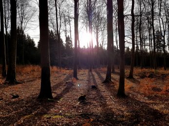 K1600_2017-03-04 08.25.58