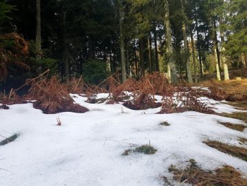 K1600_2017-03-04 09.11.20