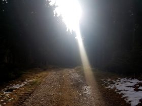 K1600_2017-03-04 09.11.27