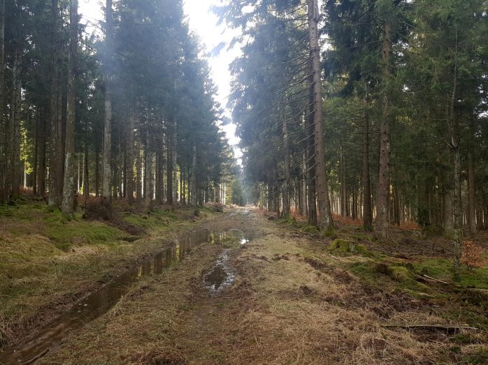 K1600_2017-03-04 09.18.44