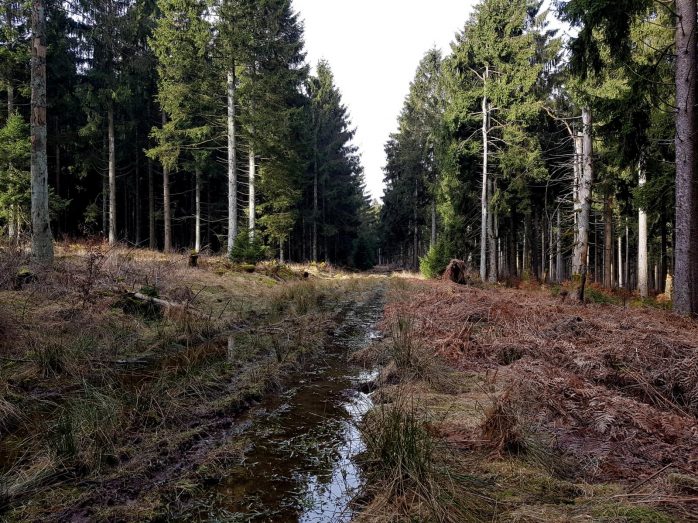 K1600_2017-03-04 09.19.53