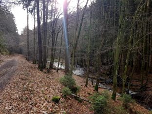 K1600_2017-03-04 09.50.19