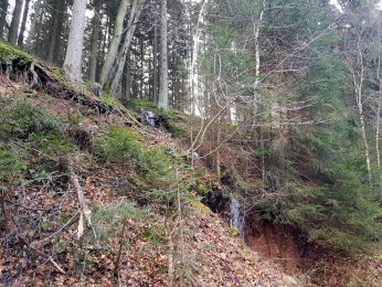 K1600_2017-03-04 09.54.35