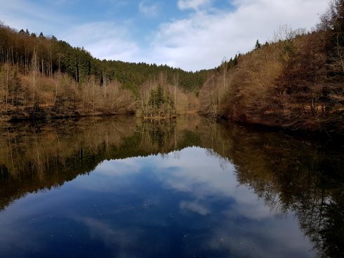 K1600_2017-03-04 10.02.10