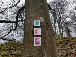 K1600_2017-03-04 11.24.26