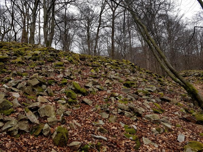 K1600_2017-03-04 11.24.28