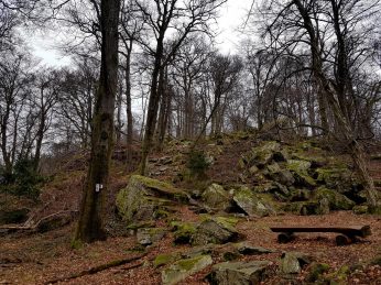 K1600_2017-03-04 11.25.40