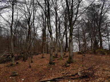 K1600_2017-03-04 11.28.26