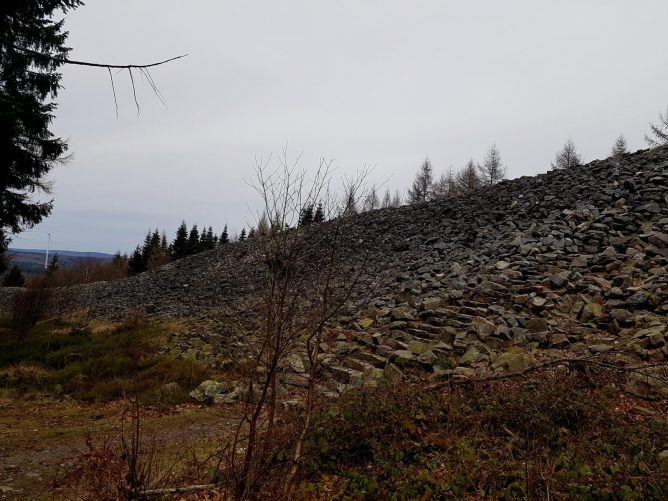 K1600_2017-03-04 11.37.34