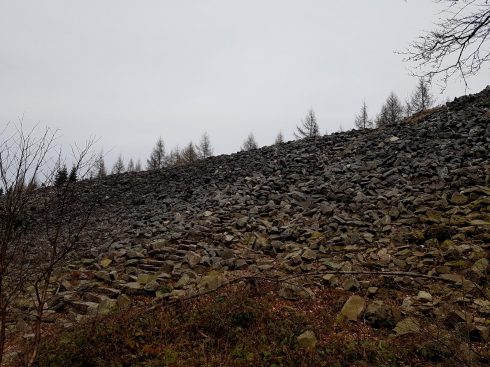 K1600_2017-03-04 11.37.35