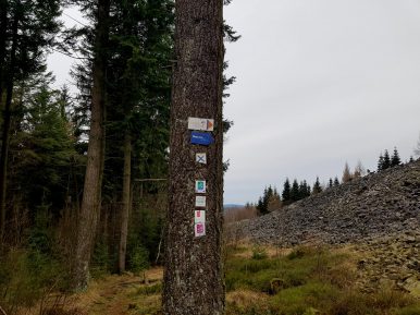 K1600_2017-03-04 11.37.41