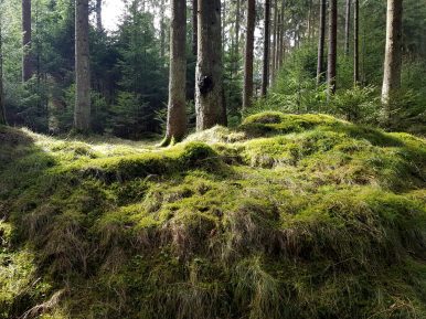 K1600_2017-03-04 12.07.09