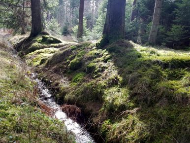 K1600_2017-03-04 12.07.10