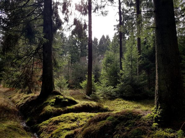 K1600_2017-03-04 12.07.14