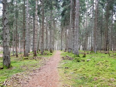 K1600_2017-03-04 14.14.54