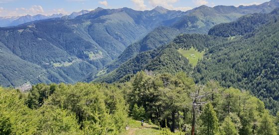 K1600_2018-06-09 11.11.28