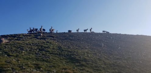 K1600_20180728_071837