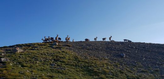 K1600_20180728_071841