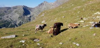 K1600_20180728_083635