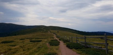 K1600_20180728_181247