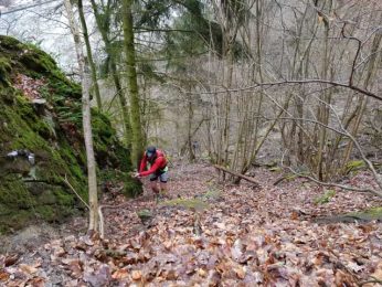 Mehringer Schweiz