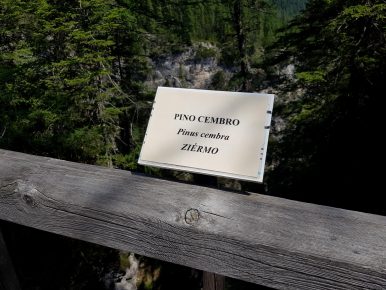 Lavaredo Ultra Trail 2017 (41)