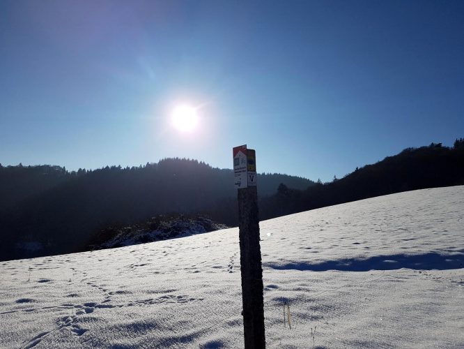 Manderscheid (10)
