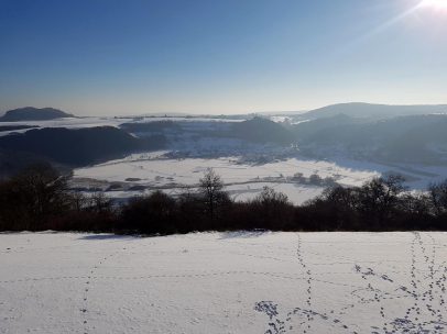 Manderscheid (16)