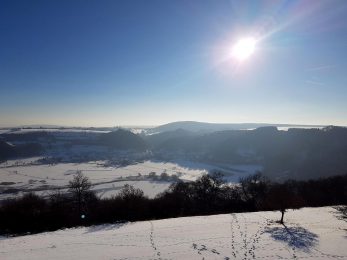Manderscheid (17)
