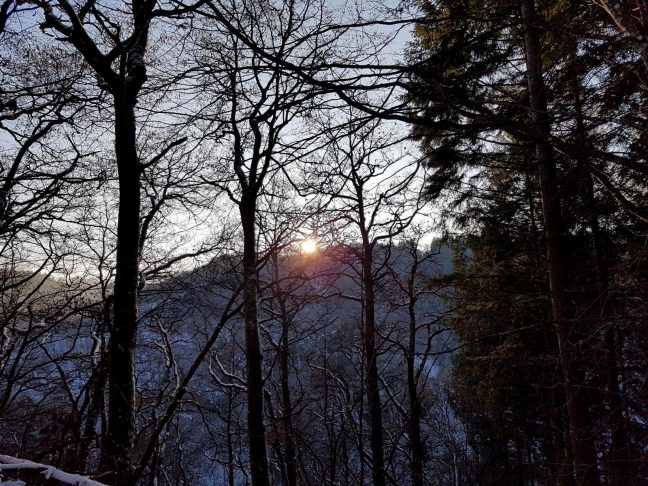 Manderscheid (28)