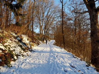 Manderscheid (35)