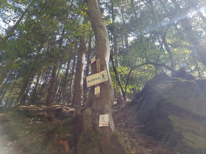 Mehringer Schweiz (3)