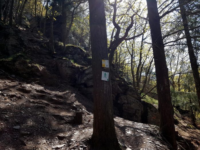 Mehringer Schweiz (4)