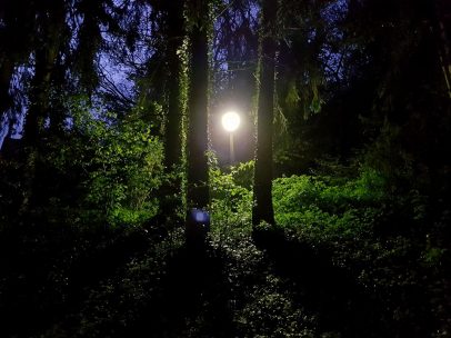 Niederlinxweiler (1)