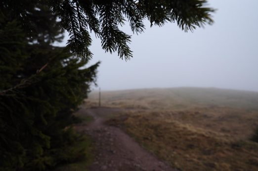 PetitBallon17random (1)