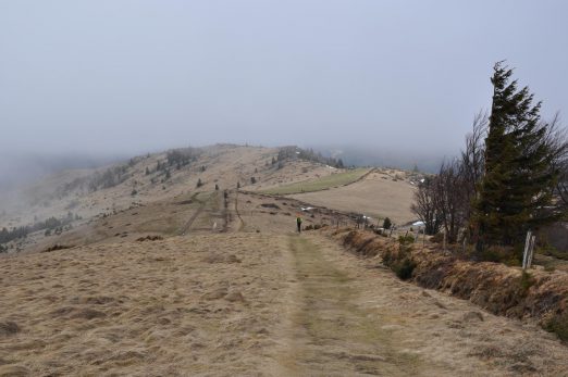 PetitBallon17random (13)