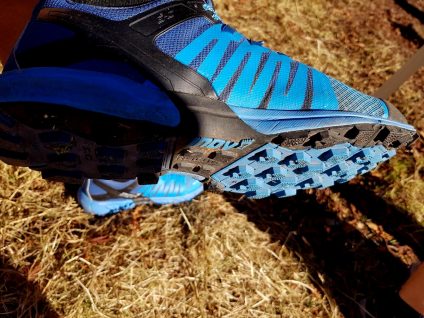 Revierguide Suedpfalz Tag 2 Inov8 Roclite305 (1)