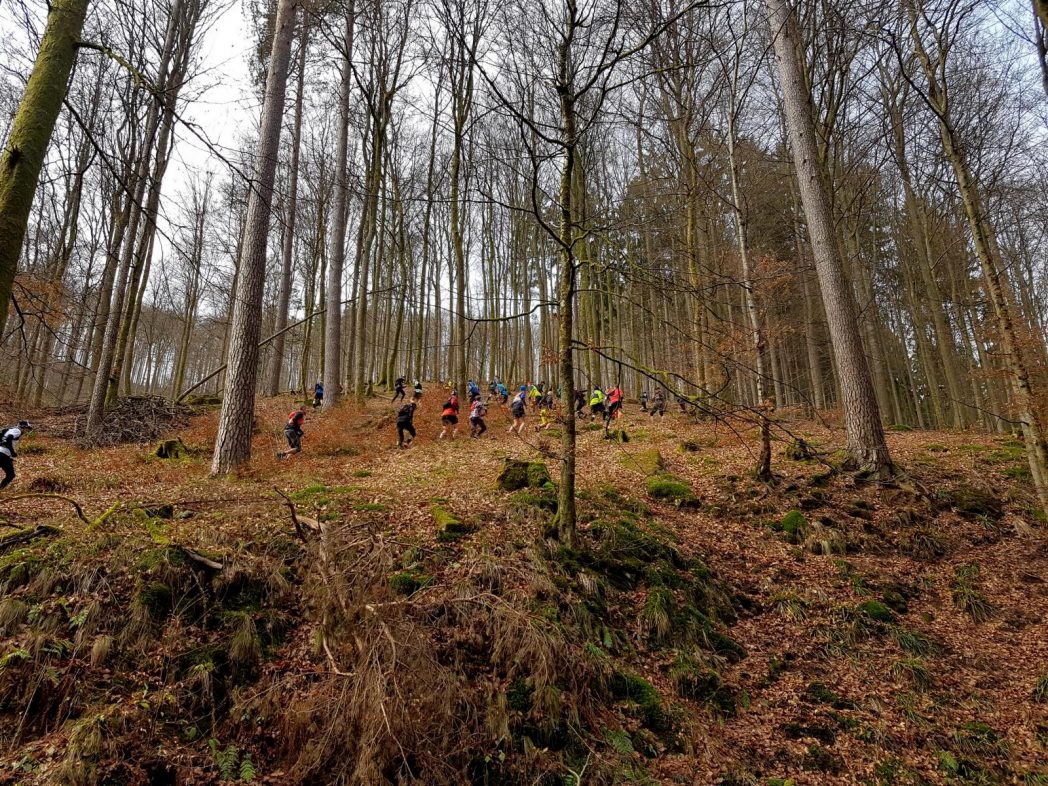 Revierguide Suedpfalz Tag 2 Inov8 Roclite305 (12)