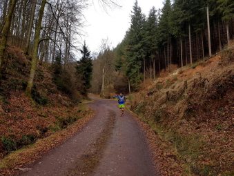 Revierguide Suedpfalz Tag 2 Inov8 Roclite305 (13)