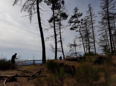 Revierguide Suedpfalz Tag 2 Inov8 Roclite305 (19)