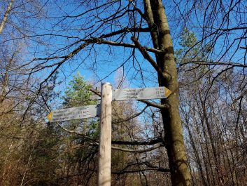 Revierguide Suedpfalz Tag 2 Inov8 Roclite305 (42)