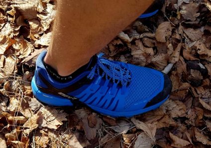 Revierguide Suedpfalz Tag 2 Inov8 Roclite305 (43)