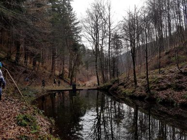 Revierguide Suedpfalz Tag 2 Inov8 Roclite305 (8)