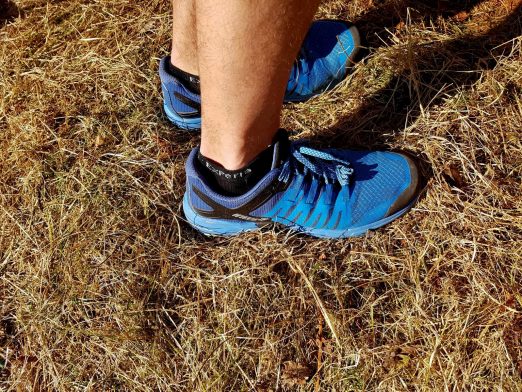 Revierguide Suedpfalz Tag 2 Inov8 Roclite305 (85)