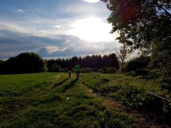 RoemerKeltenPfad (5)