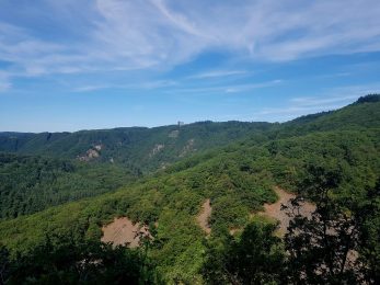 SHS-Wandermarathon (15)