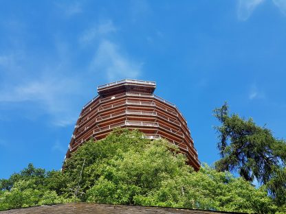 SHS-Wandermarathon (21)