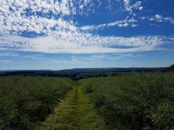 SHS-Wandermarathon (33)