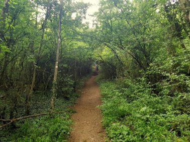 SHS-Wandermarathon (38)