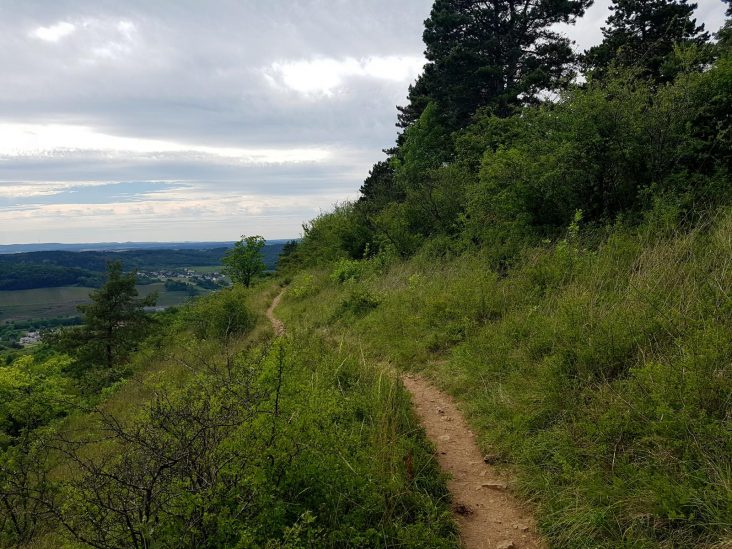 SHS-Wandermarathon (40)